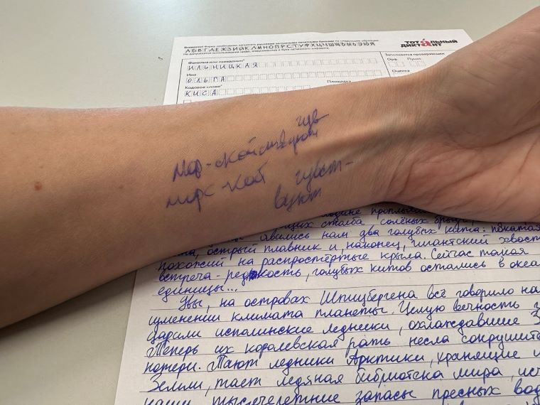 Апатитчане вышли с «Тотального диктанта» с натруженными руками
