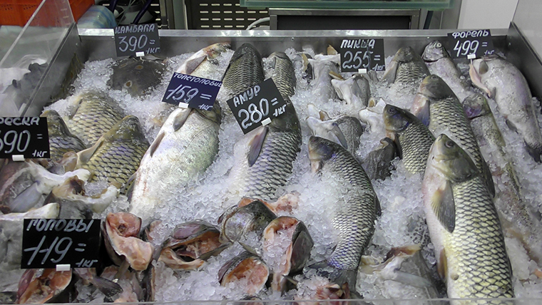 В «Дарах Белоруссии» теперь можно купить живую рыбу. И не только
