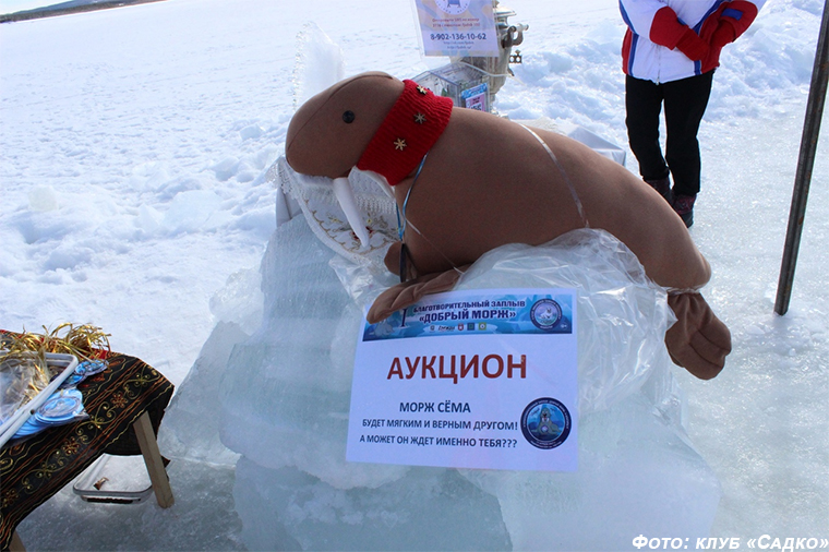 "Добрые моржи" собрали для фонда "Наше будущее" 31650 рублей