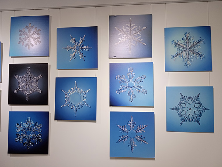 Музейно-выставочный центр радует выставкой зимних кристаллов