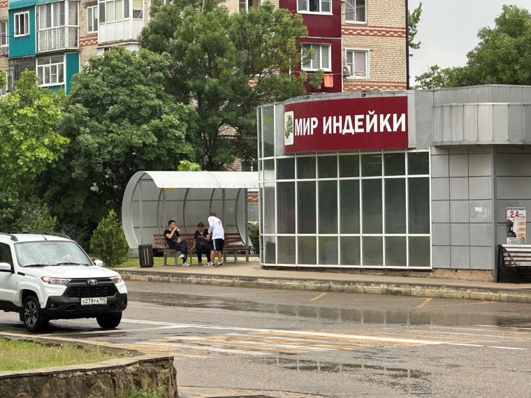 Нефть в Анапе подают даже в кафе. Заметки с искреннего юга