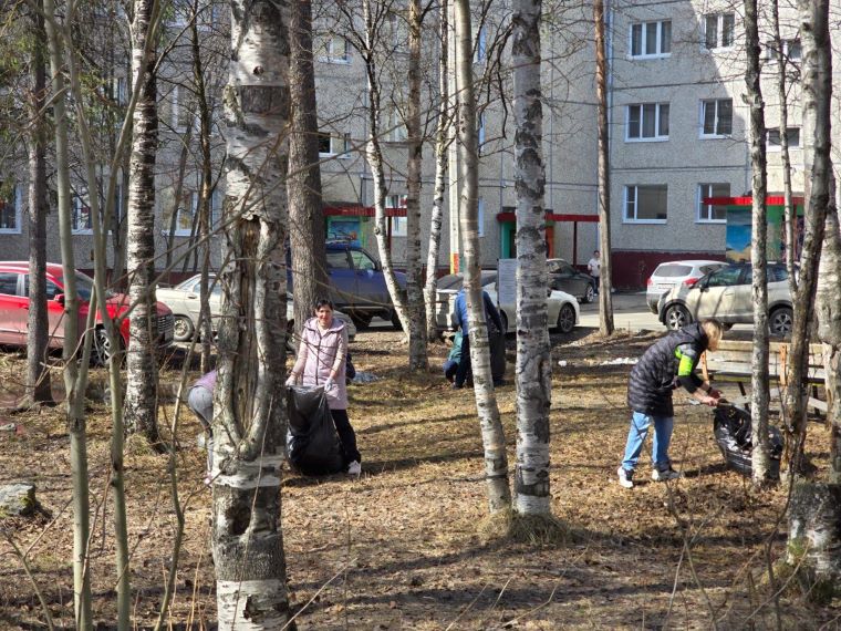 Все апатитские УК и ТСЖ одновременно убрали придомовые территории