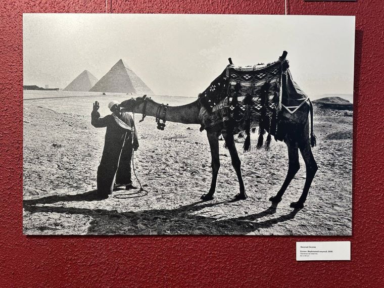 В Гладинке открылась выставка известного апатитского фотографа