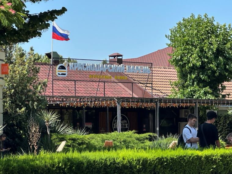 Нефть в Анапе подают даже в кафе. Заметки с искреннего юга