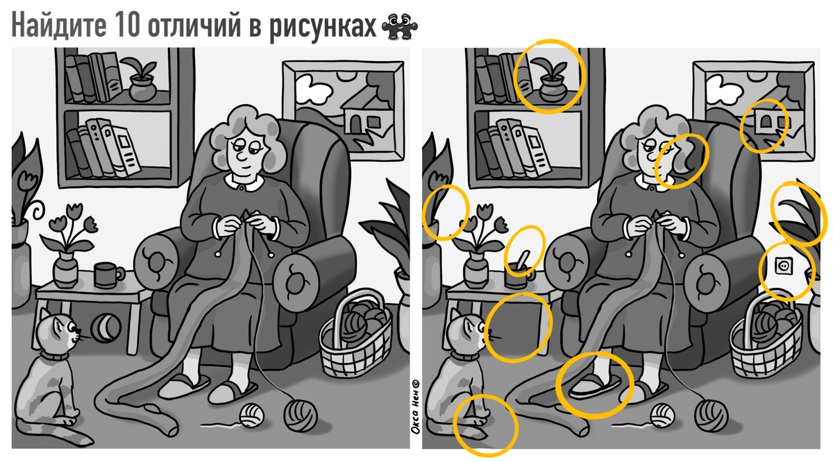 Найдите 10 отличий: 78% не справятся — ютест на внимательность и память